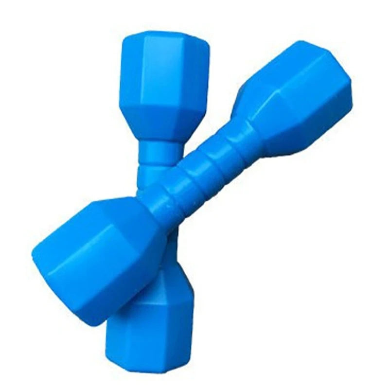 olorful Plastic Dumbbells for Kids – Lightweight Fitness Toy for Dance, Exercise & Outdoor Play