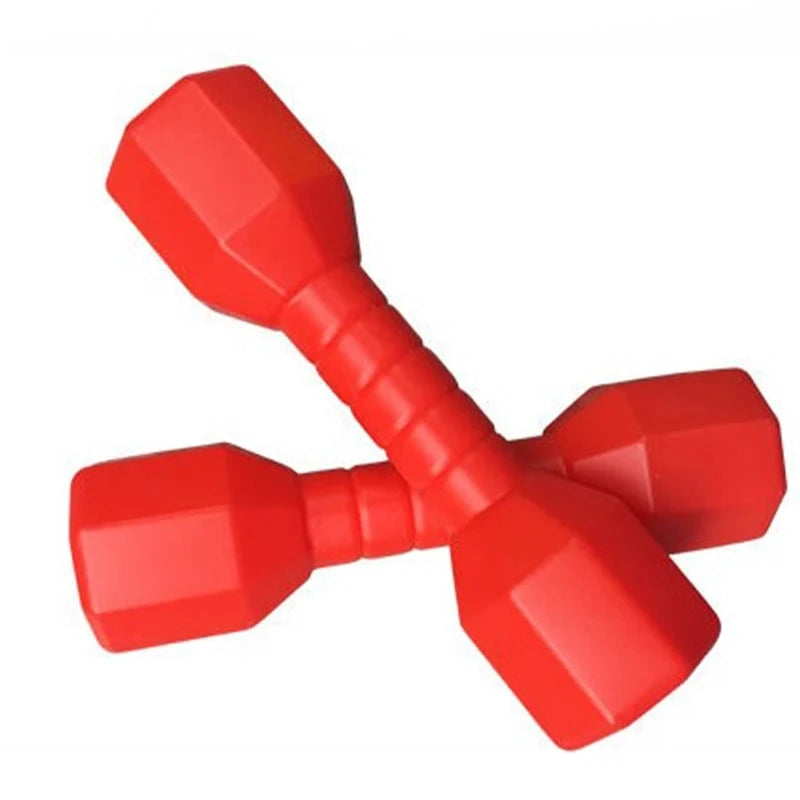olorful Plastic Dumbbells for Kids – Lightweight Fitness Toy for Dance, Exercise & Outdoor Play